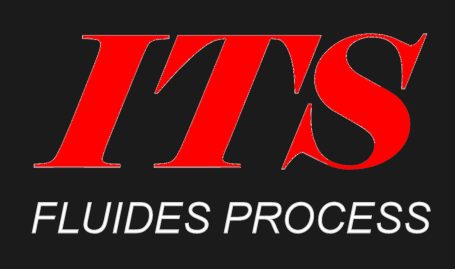 Logo ITS
